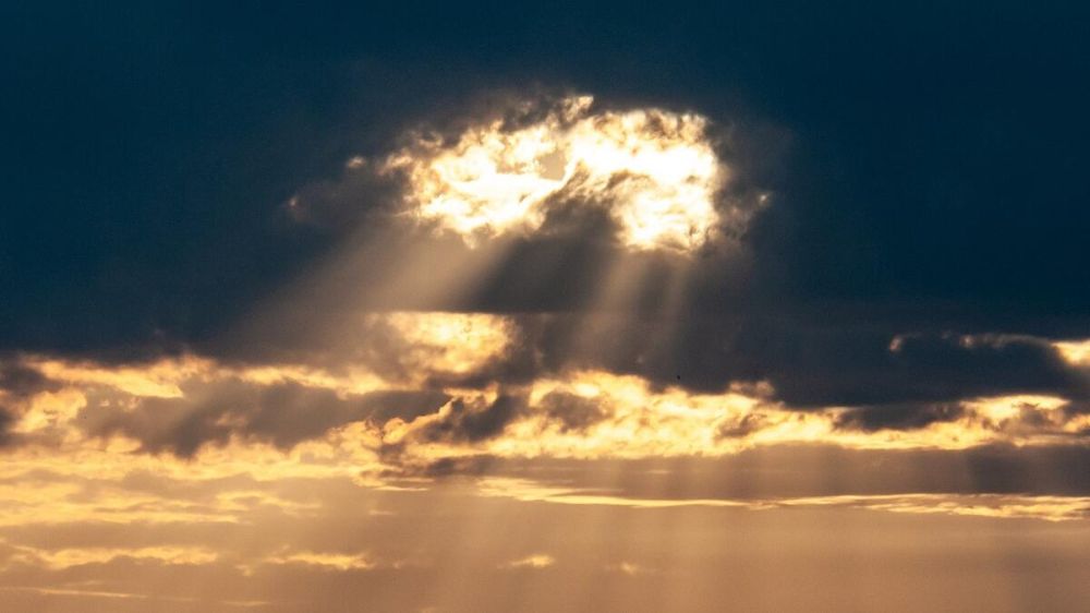 �������������� �������������: ��������� ������������ ��������� ���� ����� 24 ��������