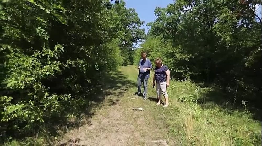 ���� ����� ��������� � ����� ���������� �������, ��� ������ �����������