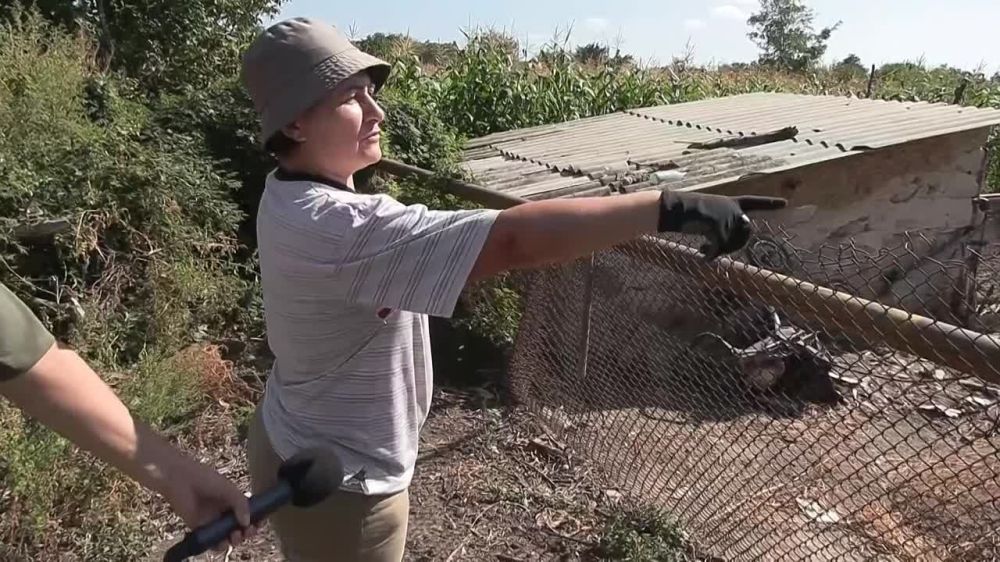 �� ���������� ��� � ������ ���������� ����� 100 ������