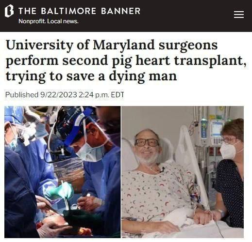 ������� ������������ ��������� ���������� �������� ������ ������