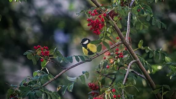 23 �������� � ������������ ������ ���� ������ ���� ������ � ����� � �����