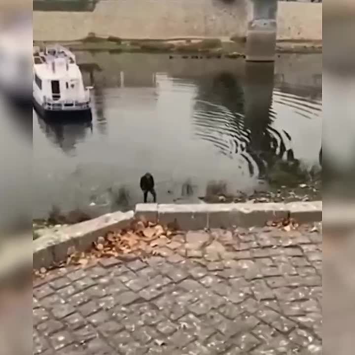 ������� ������ � ���� ����� ����� ��������