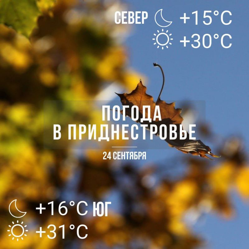 24 ��������, ���� �����! ������� � �� 30��