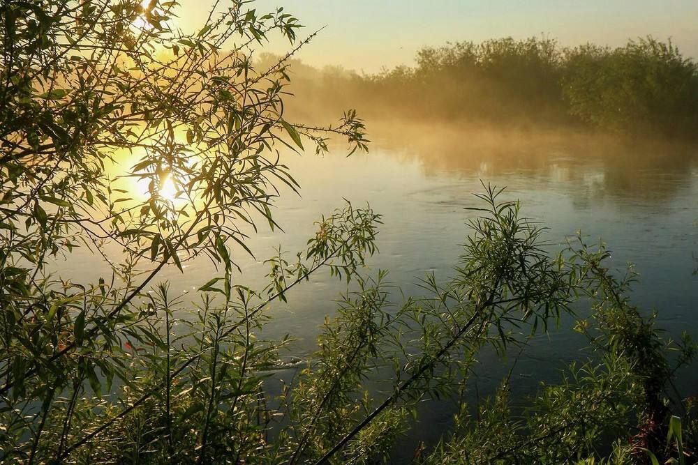 24 �������� ���������� ���� ������, ��������������� � ������������� ���