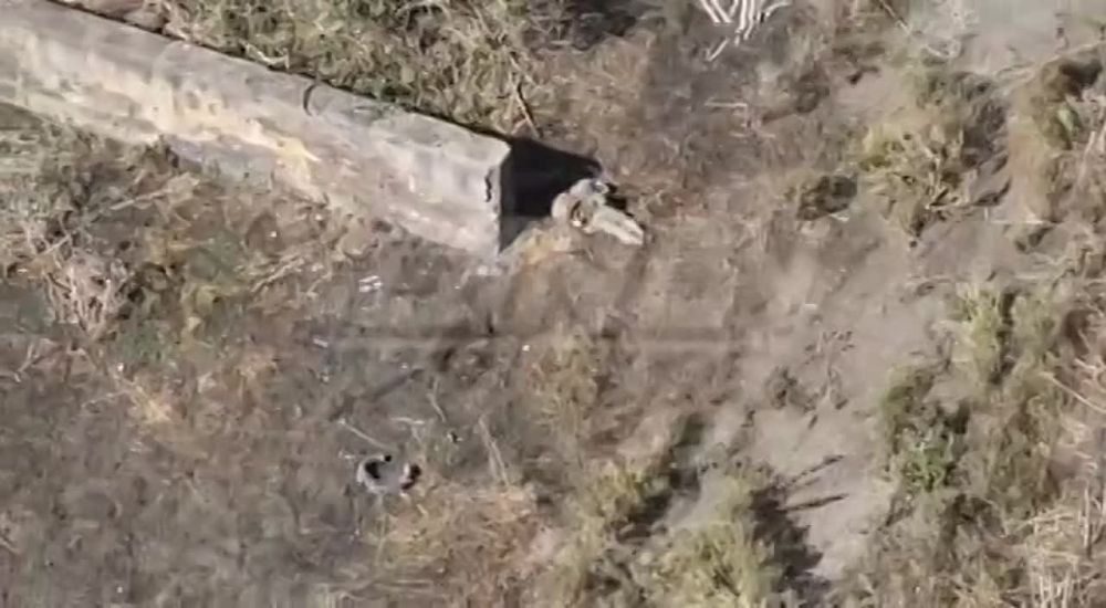 � ����������� ������� ���������� �������������� ����������� ���� ���������� �������� , ������������ � ��� � ����