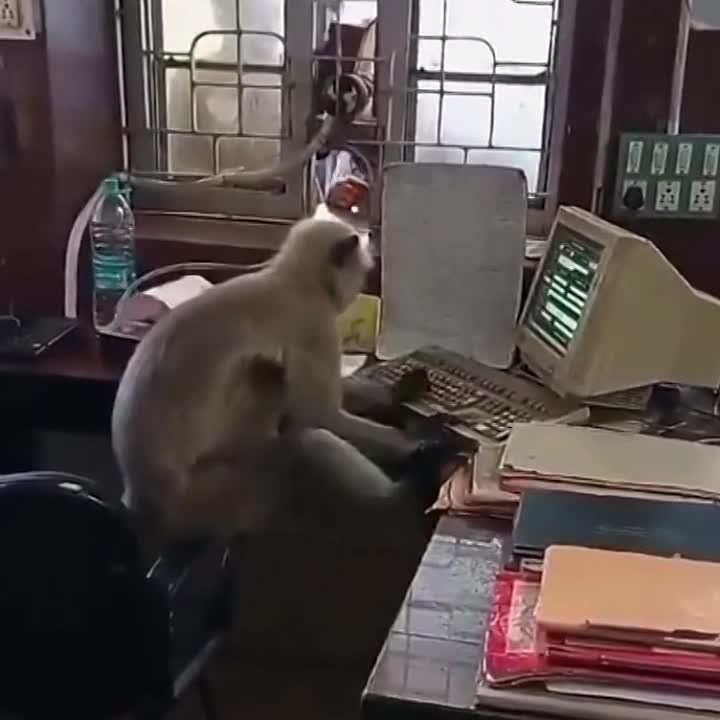 � ����� �������� ���������� � ������� ������� �� ������� � ������ ��������