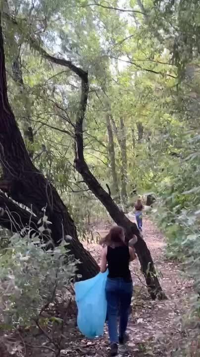 �� ��������: ��� ������ ����������� ����� �������?