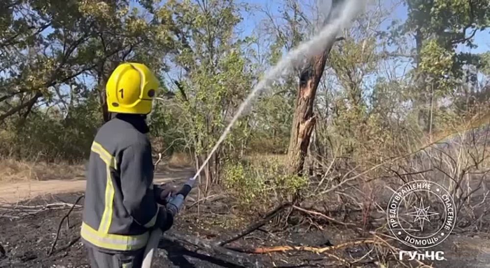 ����� �����. � �������� ����������� ���������, �������� �� �������� ���� �������� ������ ����������� ����������� ����������