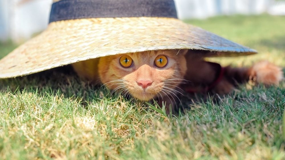 ������� ������, ���� +30: ����� ���, ���������� �����