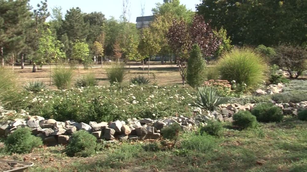 � �������� � ���� ���� ��� ���������: �� ������ �������� ����� ����