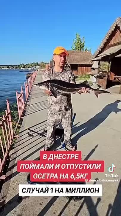 ����� �� �����! � ������� ������� � ��������� ������ �� 6,5 ��