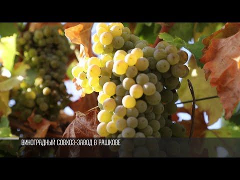 ����������� ������� ������ ������������ ���� � ���� �������� � ��������� ������ ����� ��� ��������. ��������� ������, ��������� ������� � ����������� ����������. �� ������� ������������ ������� ��� ����� ��������������