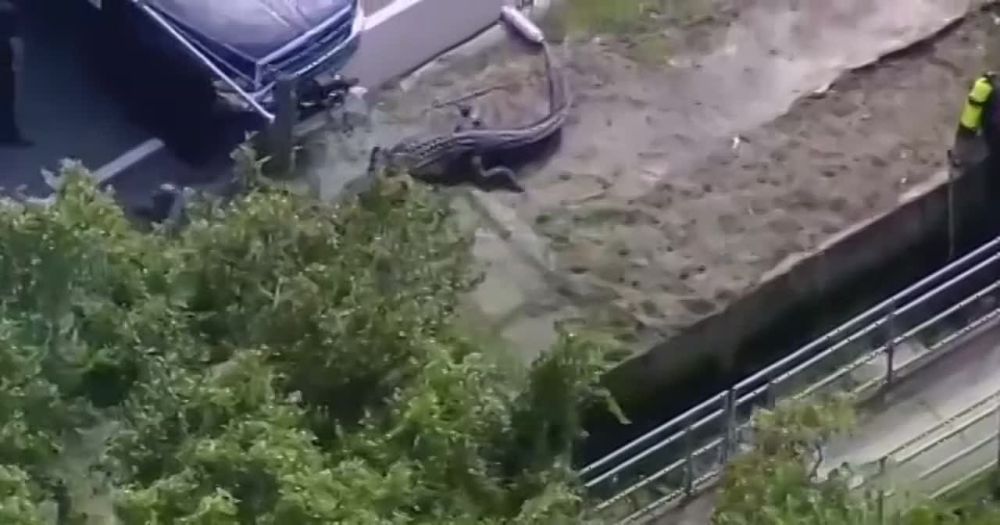 �� ������� ��������� ��������������� ���������� � ������������ ������ � �����