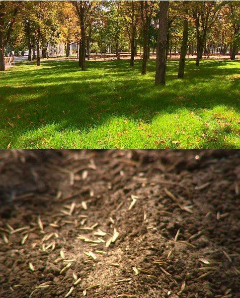 � �������� � ����� ������������ ������ ��������� �������