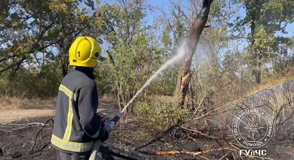 ����� �����. � �������� ����������� ���������, � ������ �������� ���� �������� ������ ����������� ����������� ����������