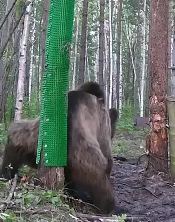 ������ ������� ����� �� ����������� � ���������� ����