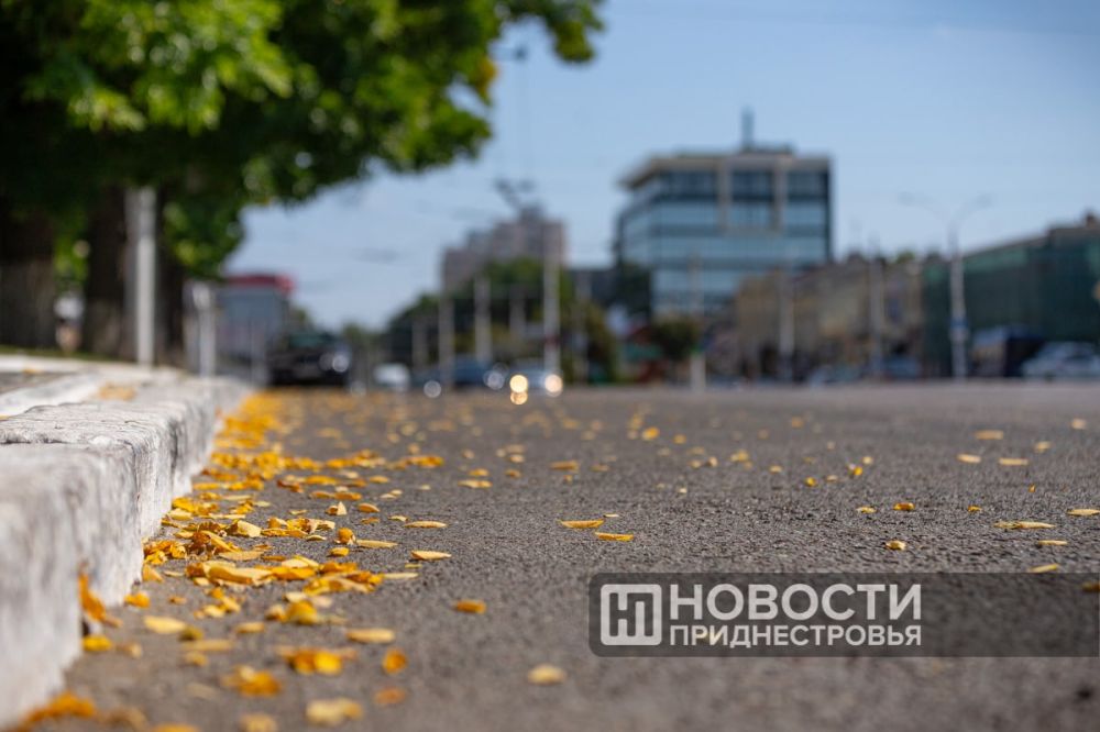 ������ ����� �������� ����� ����������� ������� � ������ �������� ������� ����������� �����