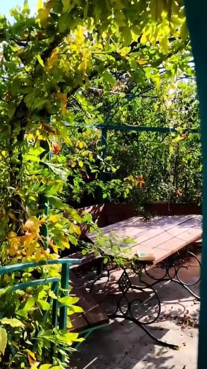 ��������� �����������: ����� ���� ��������� - ����� ����� ��������� � ��������� � �������� ��������