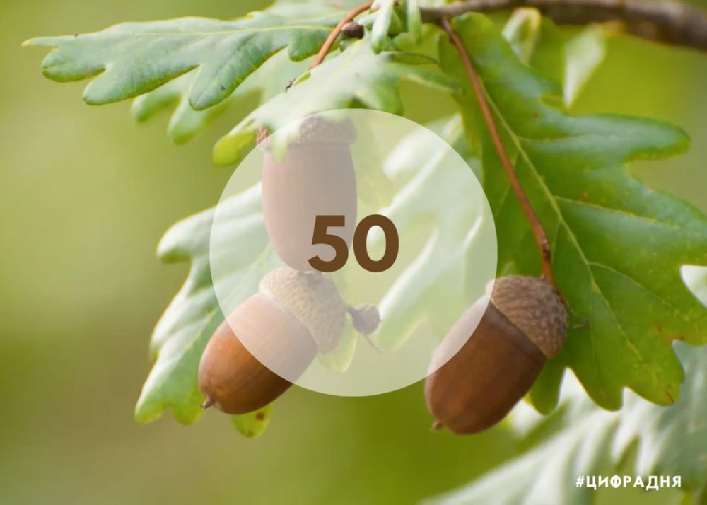 ��� �� ���������� �����, ���� �� ������ 50 ���. ��� ��� ��������� ������� ������ �������, � ��� ����� ������� ������ � �������, ��� ����������� ��� ��������