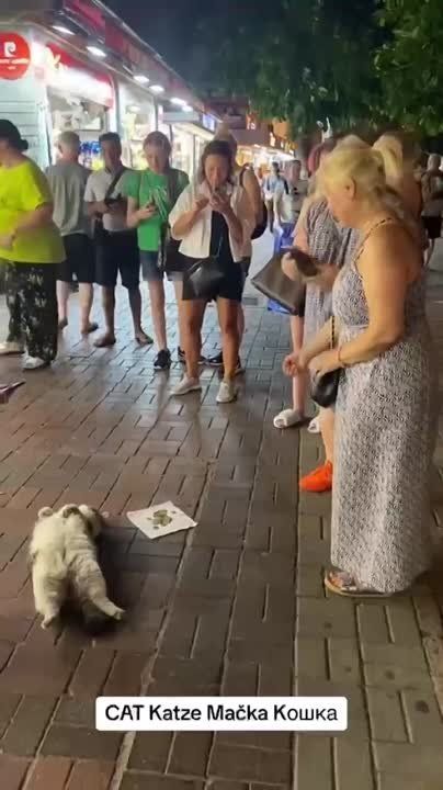 ������� � ������ ������ ������ � ������� ������ ���� ����� ������