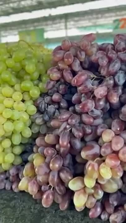 �� ������� ����� ����������� �����