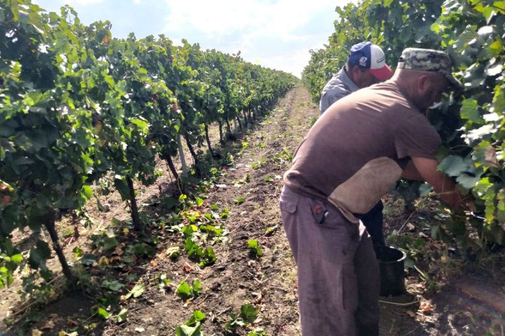 � �������� ������� ��������� ������ ���������