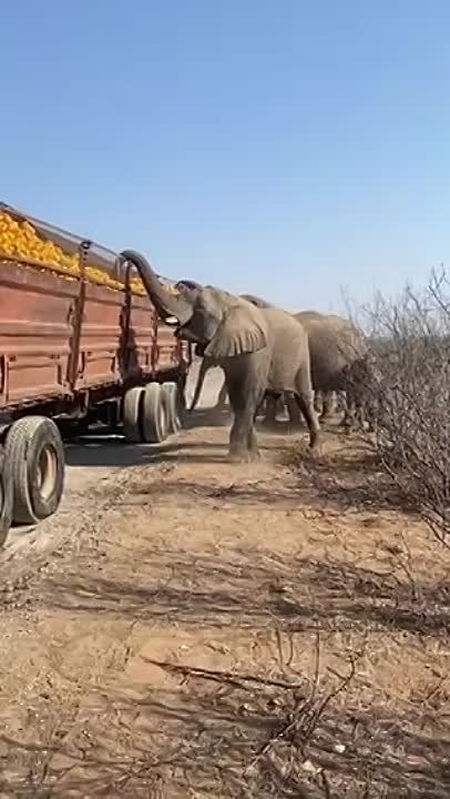 � ��� ����� ��������� ���� �� ����������� ���� � �����������