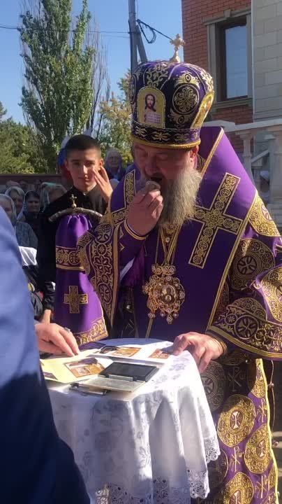 ������������ �������� ����������� ������ ��������