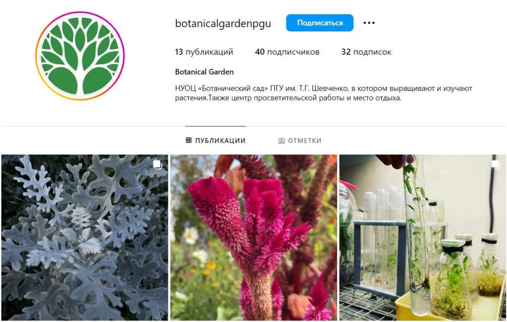 ��� ���� ����� �������� ������� � ����������