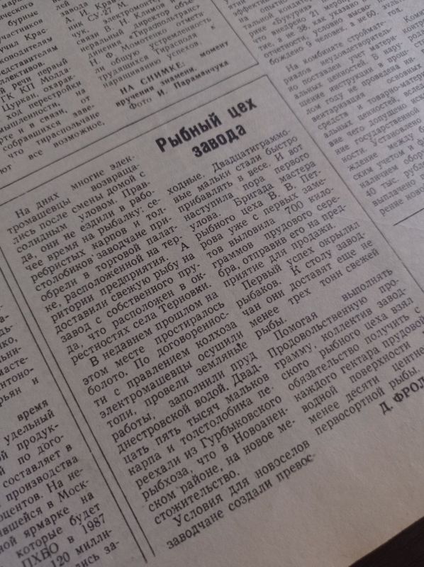 ������ ��� ������. ������� �� ������ ������� � "������������" ���������� � 1986 ��� � �������� �� ������...