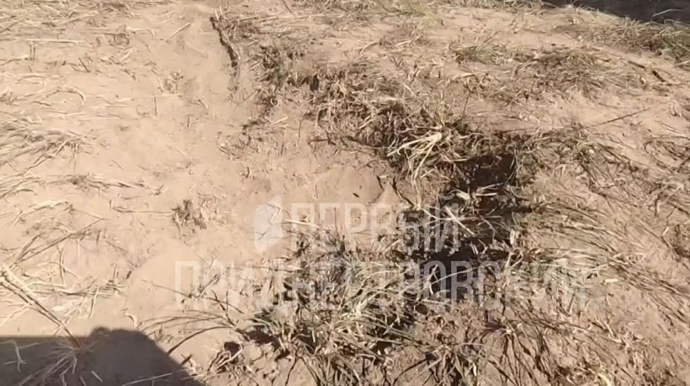 �3-4 ��, �� �����, ��� ���� ���������� ������ ����� �������