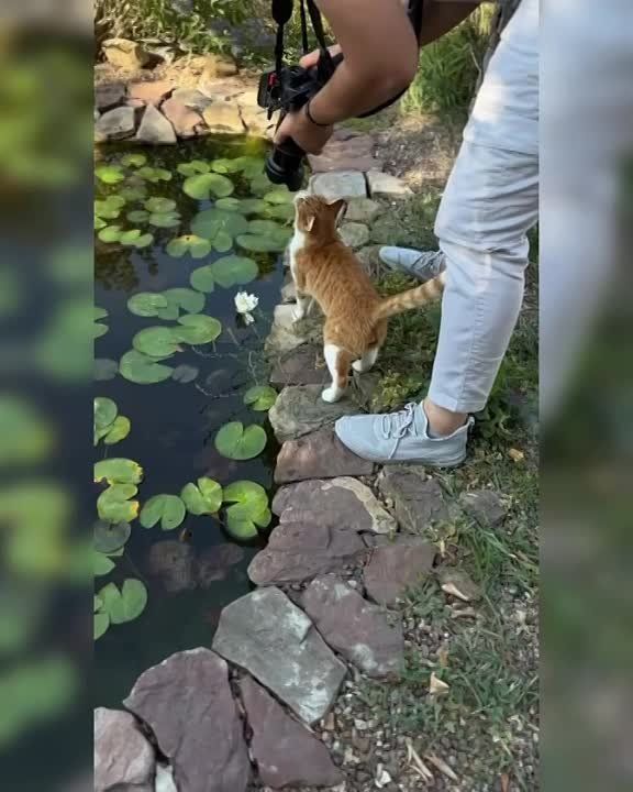 � ������������ ���� ��� � ��������� ������ �������� � ������� ����� ���������