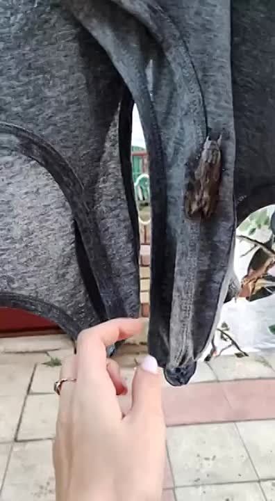 ����� ������� ������ � ��������� ���������� �����