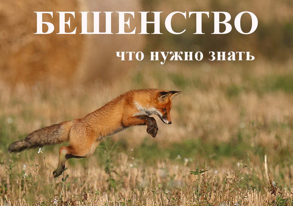 ���������. ��� ����� �����. ���������� ������ ��� ������������ ��������. ���� ����� � ����, �����, ����������� ������, ������, ������, ������, �����, ������, ����, ����, ������, ������, ����� � ���� �������