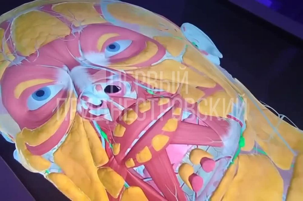 ��� �� ����� ���������� ����������� �������� � �� ���������� �� ��������