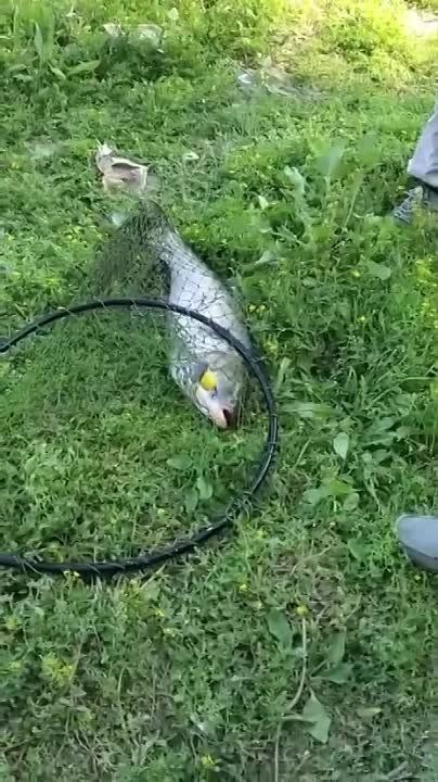 � ������ ����� ������ ��������� ����������