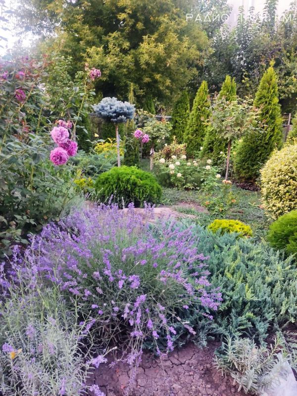 �� ��������� � ����� ��������..