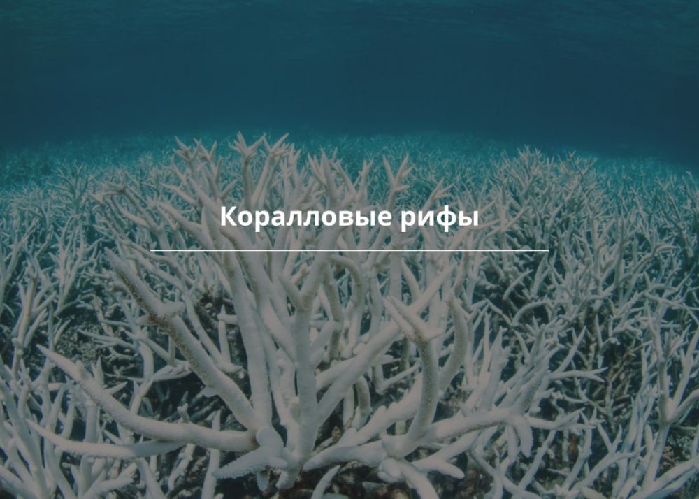 ���������� ����. ������������ ��������, ��� ��������� ���������� ����� ���� �� �� ��������� ����� � ���� ��������� ������� �����������