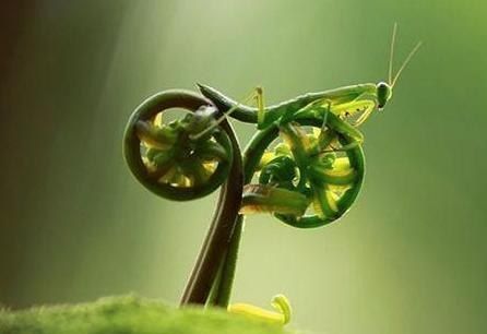 ���������� �� ��� ������ ������� ������� 7 �������