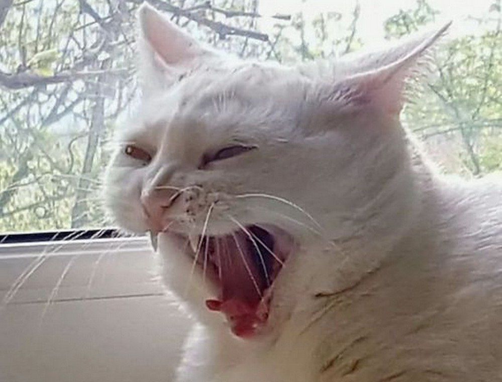 28 �������� � ��������� ���� ������ ������ ���������