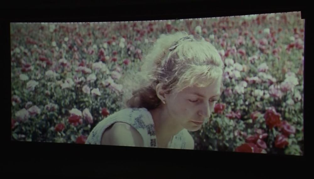 ������ ������� � ���� ��������� � �� , ��� �������� ��� ��� �������� �������