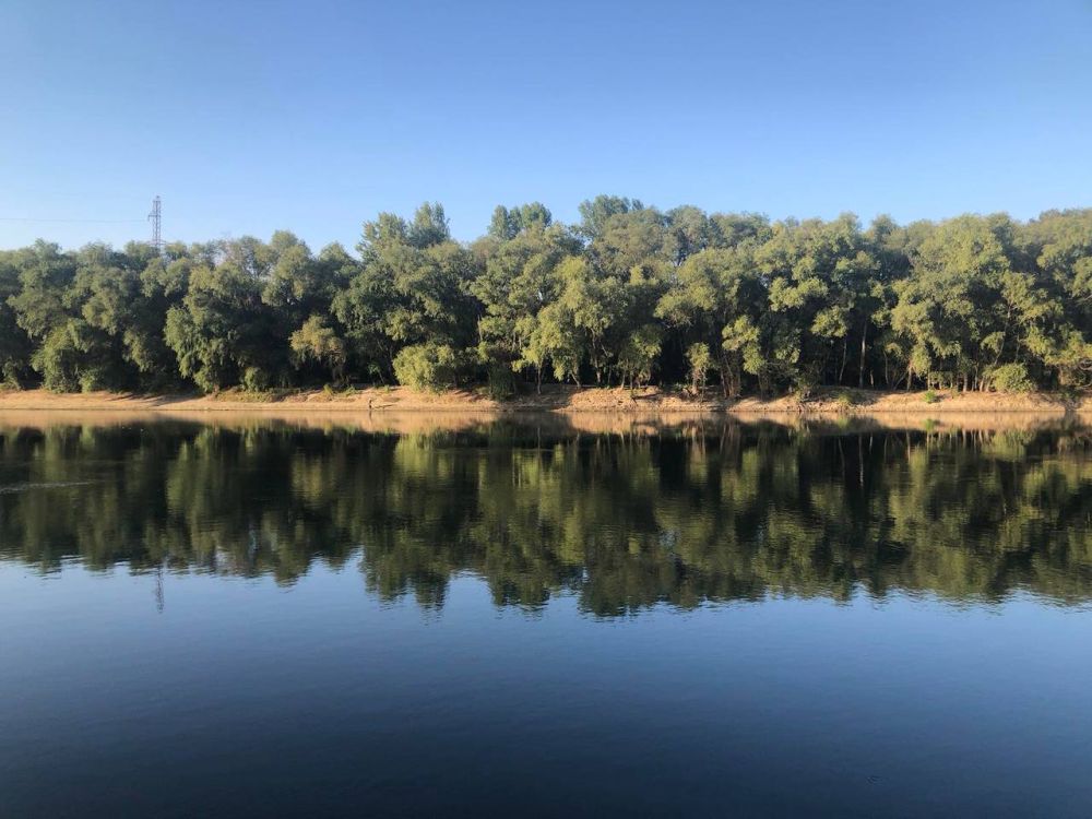 29 �������� ��������� ���������� ����������, ��� �������