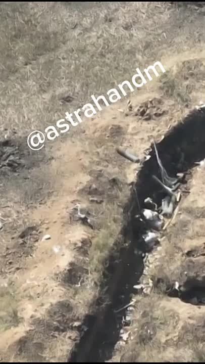 ���������� �������� ���� ������� ������ ��������� ����� �������� ���������� ��������