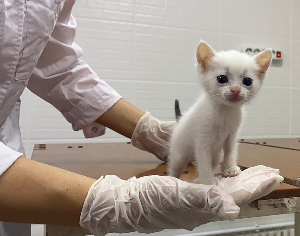 28 �������� 2007 ���� �������� � �������� ���������� ��������� ���� ������ ������ ���������