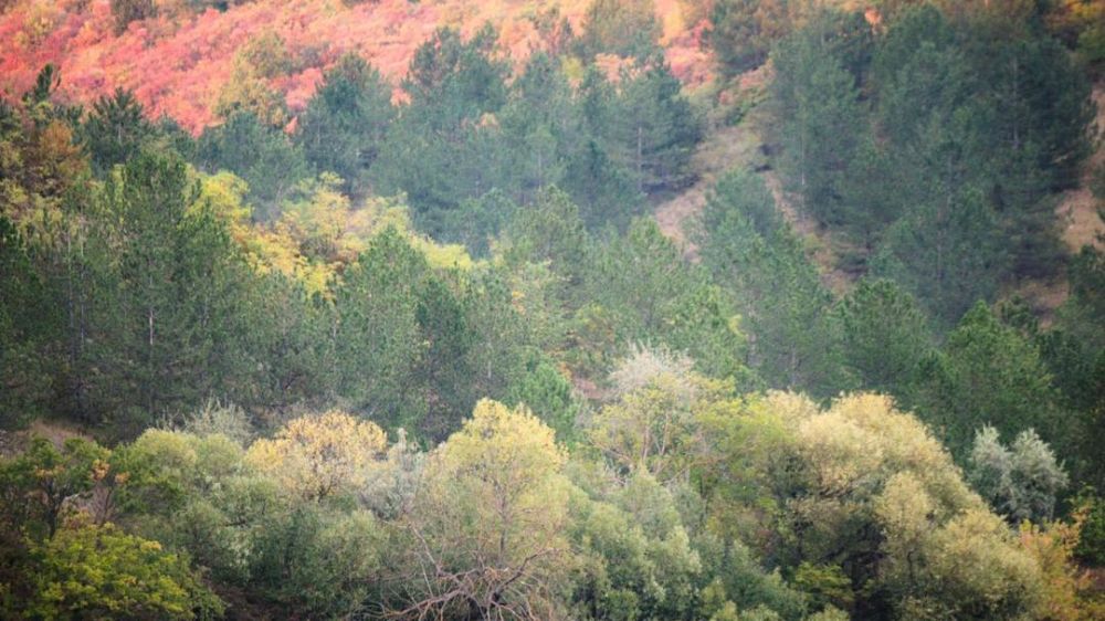 ���������� ������� ������