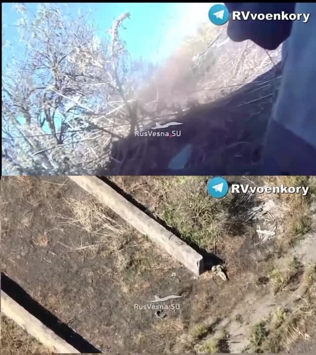 ���������� �������������� ������ � ���� ���� ���������� �������� � ������ �� ��� �����