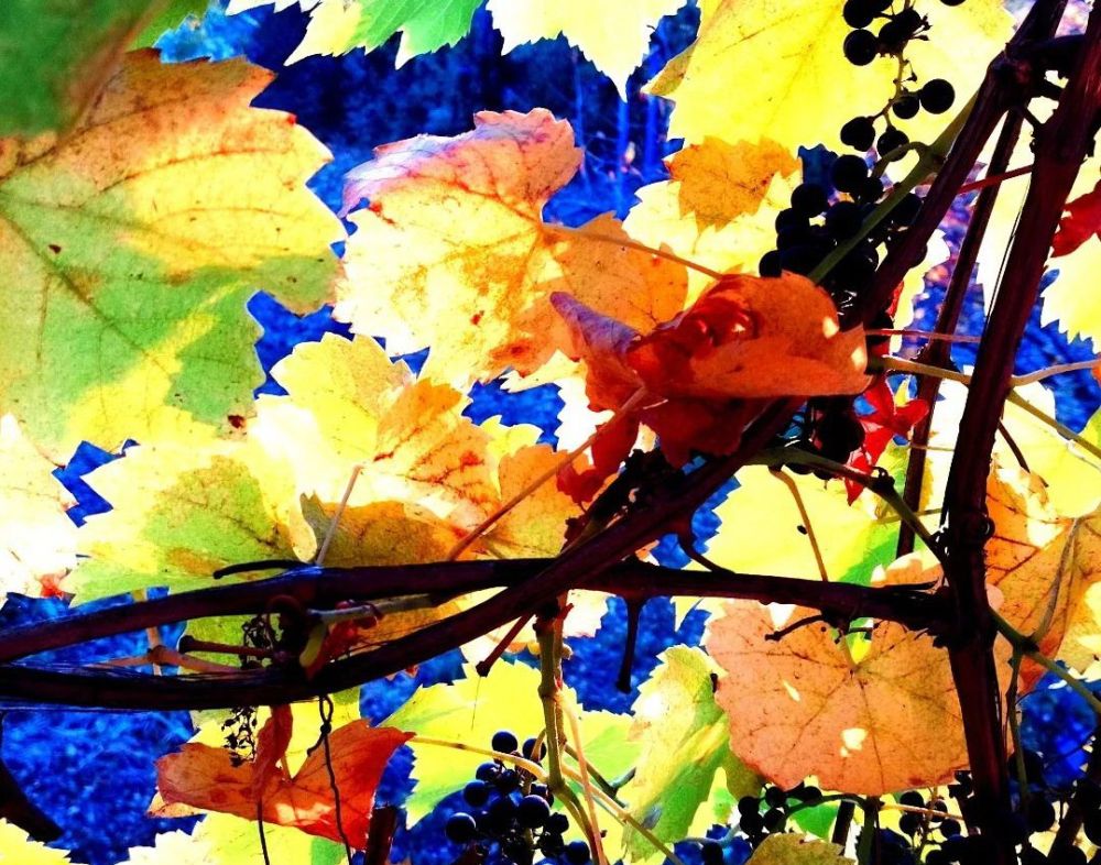 ������� ������. �������, 28 ��������, ��������� ������������ ������, ��� �������