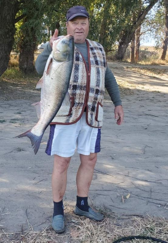 ���������� ����� �������