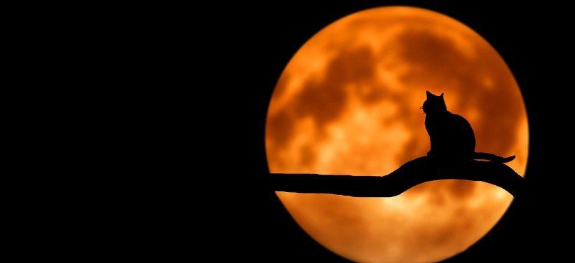 ������� �������� ���������� � ��������� � ���� ����