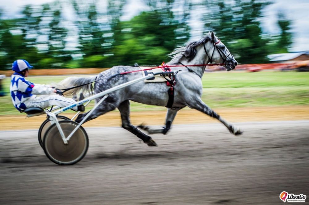 ���� �� ��������� ������� � ��������� ������� 15 �������